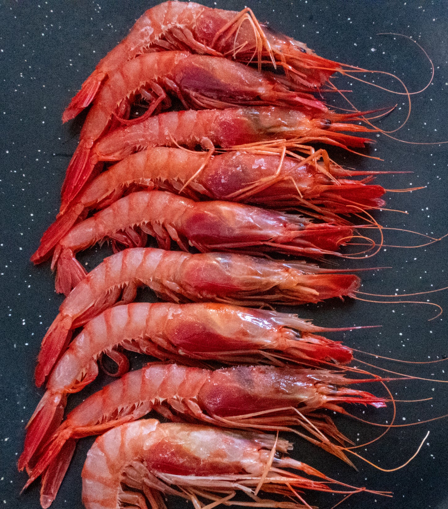 Carpaccio Gamberro Rosso 50gr