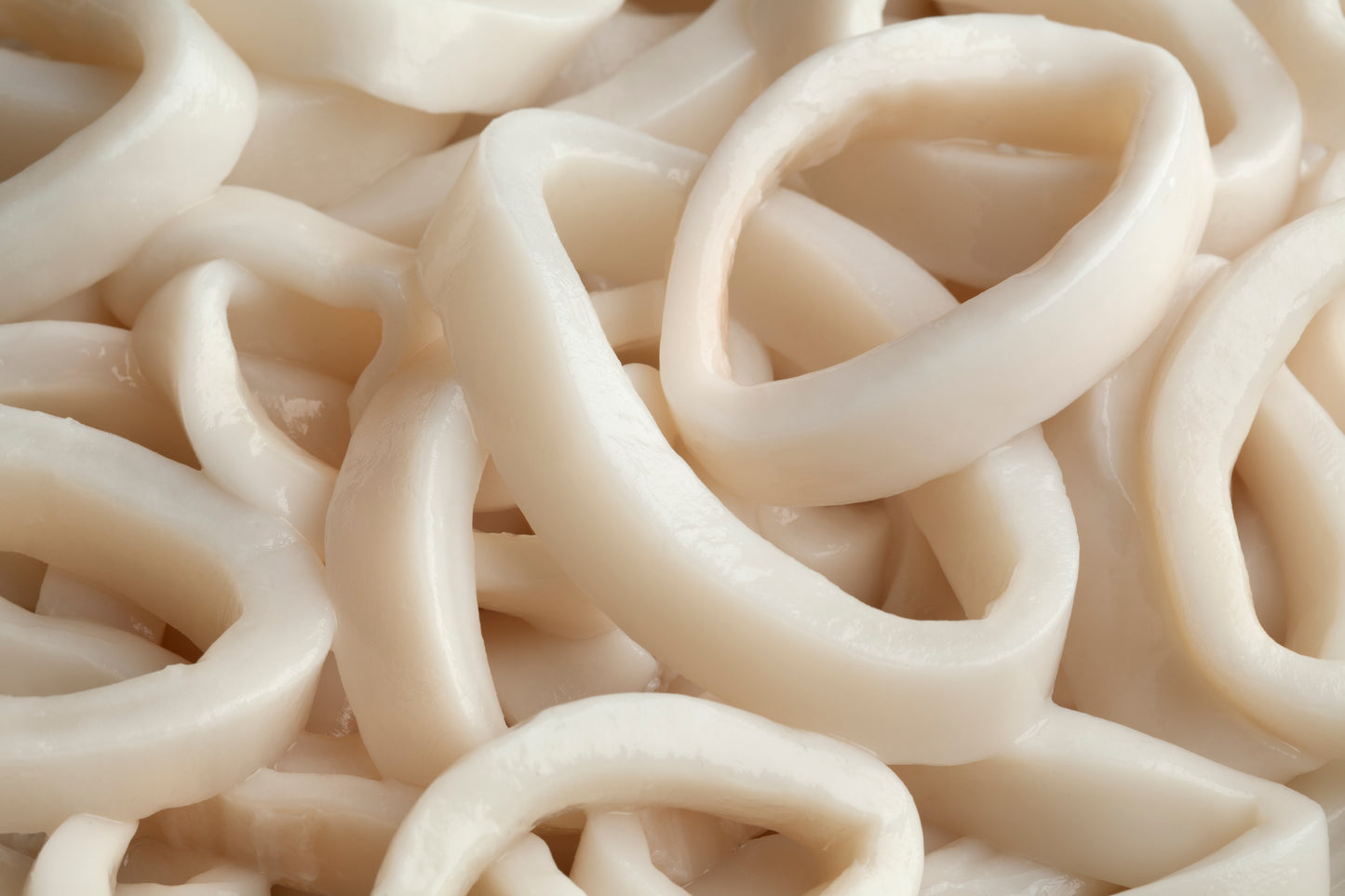 Inktvisringen Natuur 1kg DIEPVRIES
