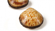 Amandelschelpen 1kg VERS