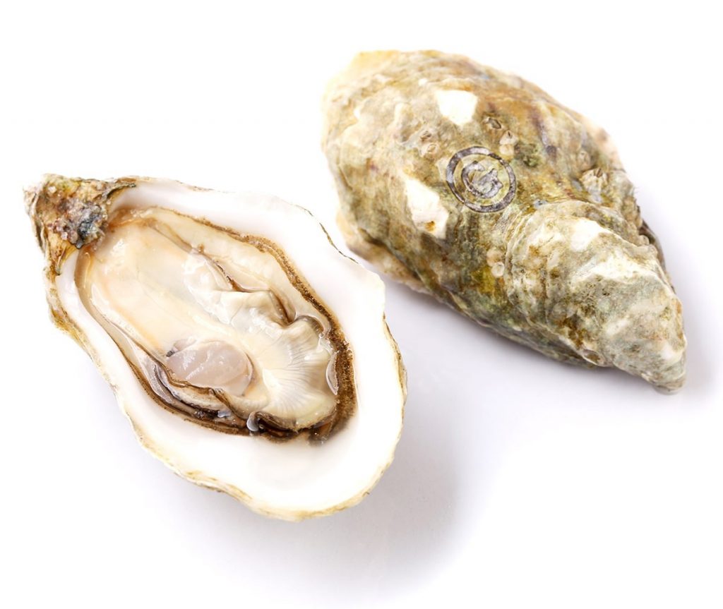 Gillardeau (3) Oester per 24
