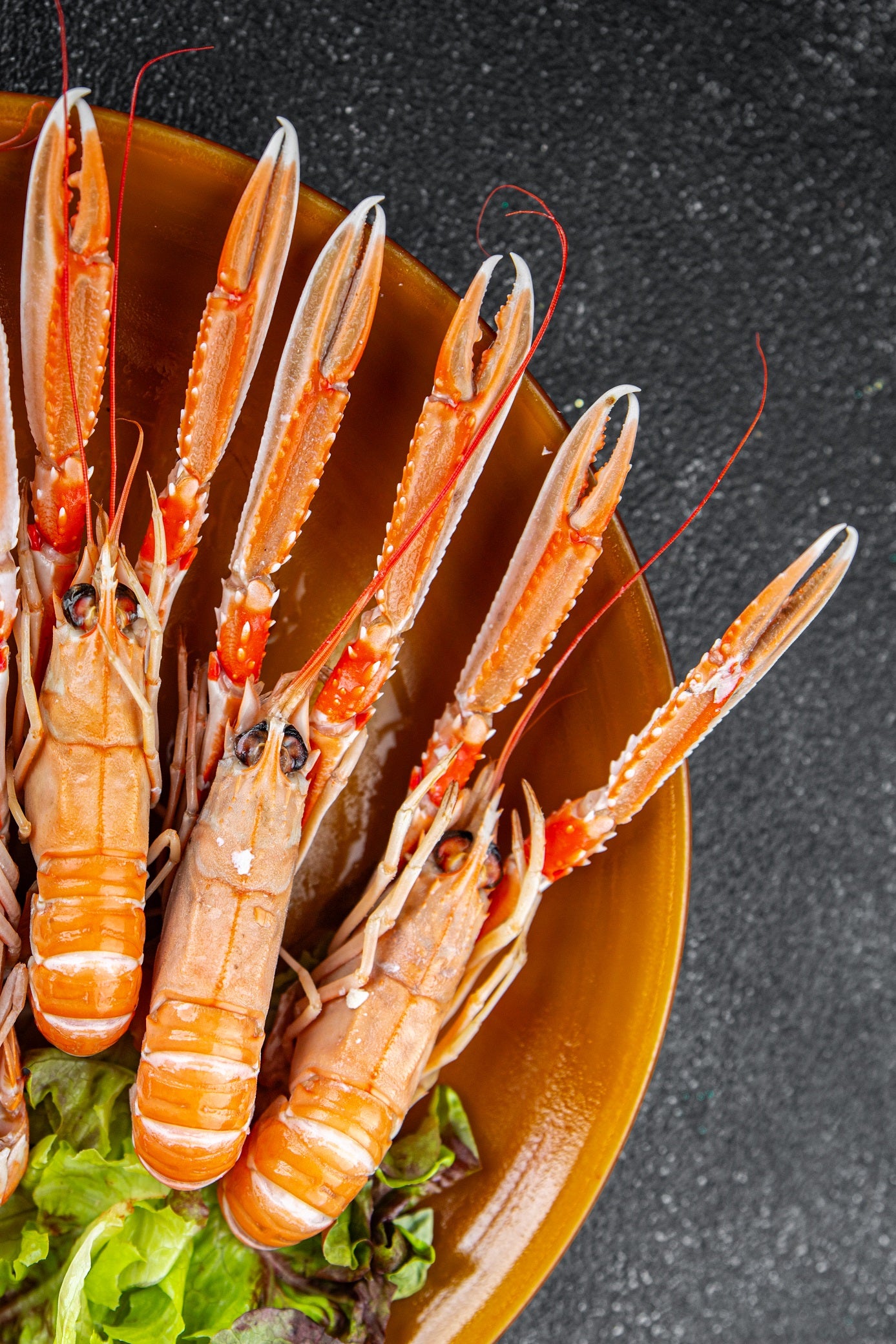 Langoustines 4/7 DIEPVRIES