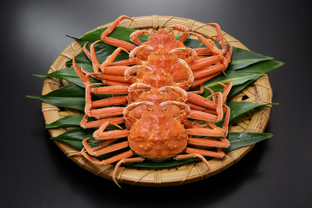 Snow Crab Koriander Kroketten (12stuks)